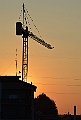 La gru sul tramonto.._51